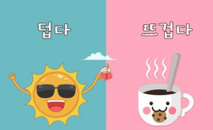14 CẶP TỪ DỄ NHẦM LẪN TRONG TIẾNG HÀN