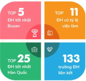 TRƯỜNG ĐẠI HỌC DONGEUI